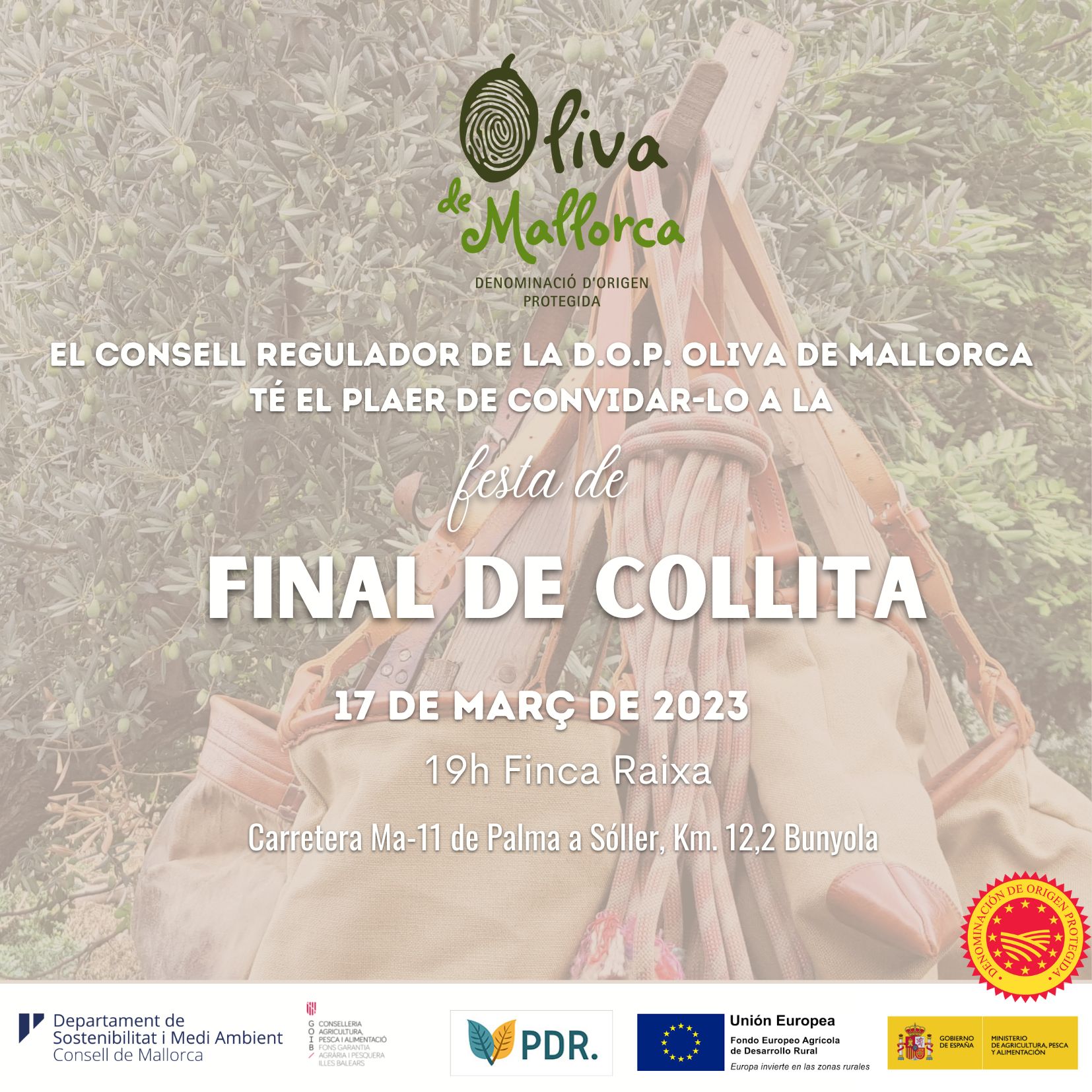 Festa de final de la collita oliva de Mallorca 2023 - Notícies - Illes Balears - Productes agroalimentaris, denominacions d'origen i gastronomia balear